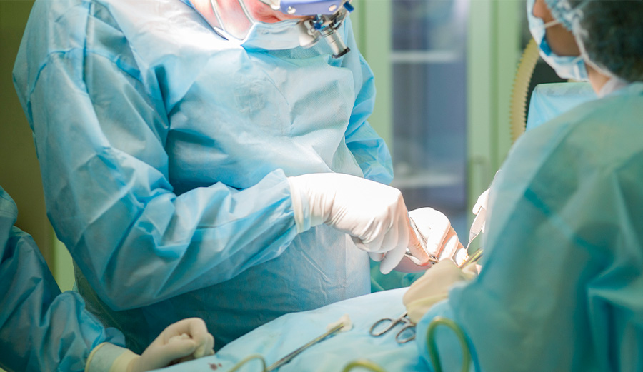 人体模型在临床技能训练中的应用