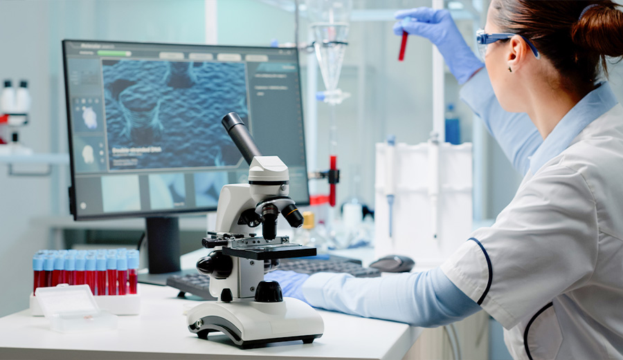 人体模型在研究与发展的应用